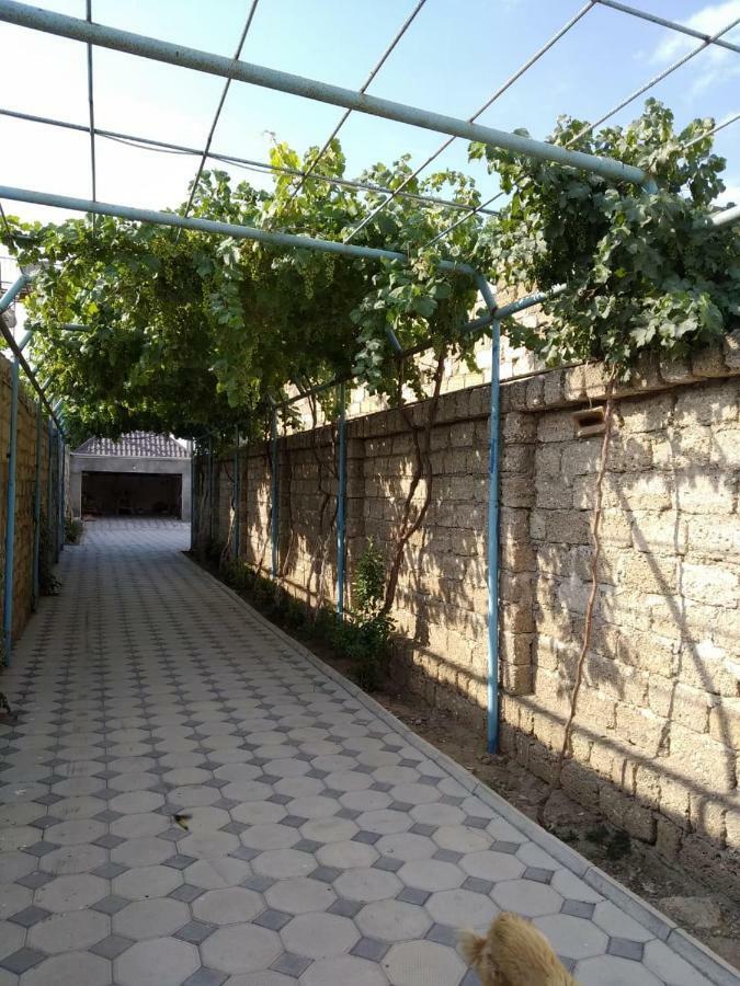 Cozy House In Bina, Bolluq Baku Exterior foto